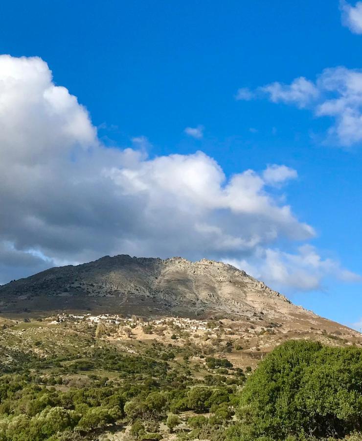 Sari Keci Tas Otel İmroz المظهر الخارجي الصورة