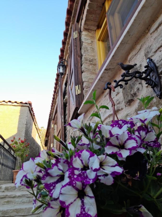 Sari Keci Tas Otel İmroz المظهر الخارجي الصورة